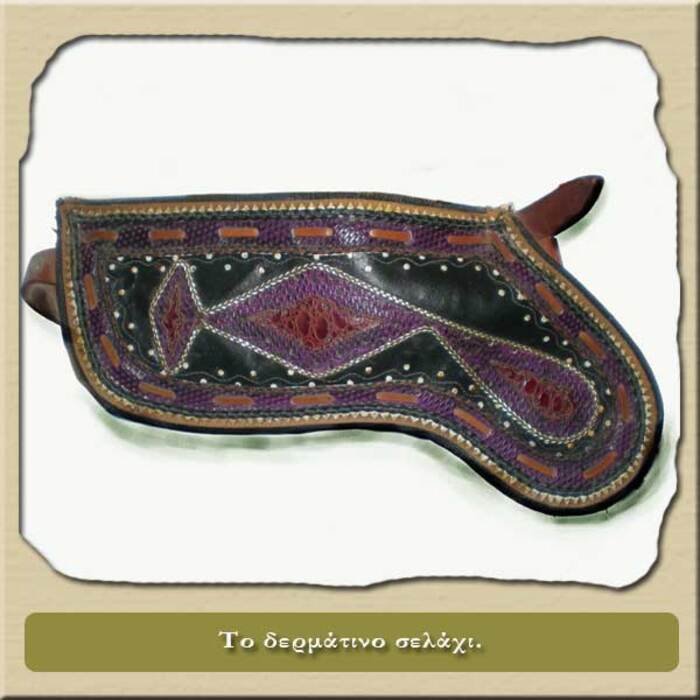 Σελάχι Φωτογραφία 2