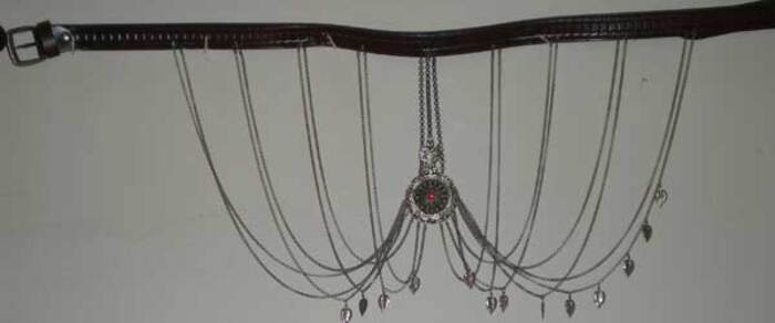 Ζώστρα Φωτογραφία 7